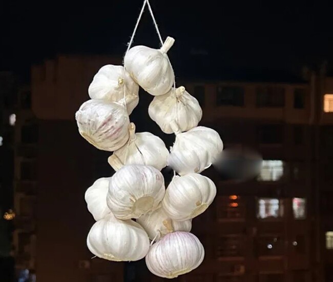 Mua nhiều tỏi, nhớ ngay 8 điều này, tỏi để cả năm chẳng mọc mầm, mối mọt - 1