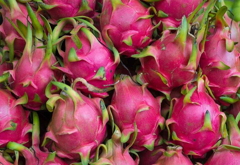 Mua thanh long chọn quả ngắn hay dài, người trồng chỉ rõ 3 điểm này đảm bảo 100 quả ngon như 1 - 1