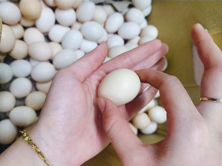 Mua trứng gà người thông minh chỉ chọn quả nhỏ, người nuôi lỡ miệng nói amp;#34;sau đừng mua bừa bãiamp;#34; - 3