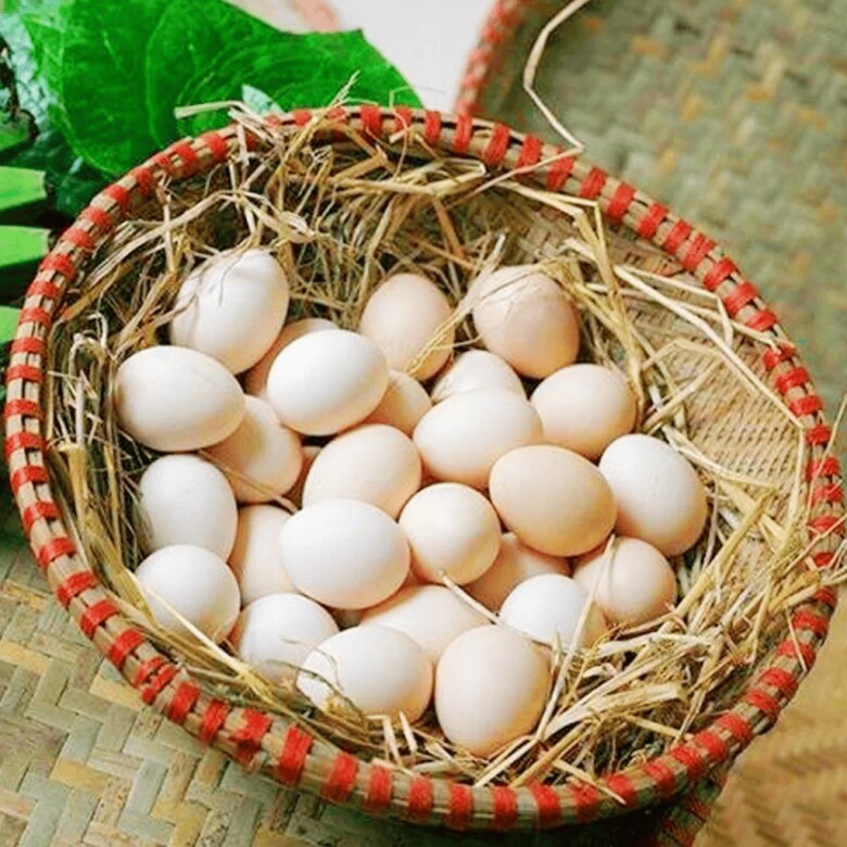 Mua trứng gà người thông minh chỉ chọn quả nhỏ, người nuôi lỡ miệng nói amp;#34;sau đừng mua bừa bãiamp;#34; - 2