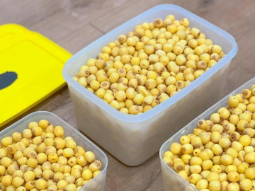 Cách bảo quản hạt sen để cả năm vẫn giữ được màu vàng tươi, không sượng