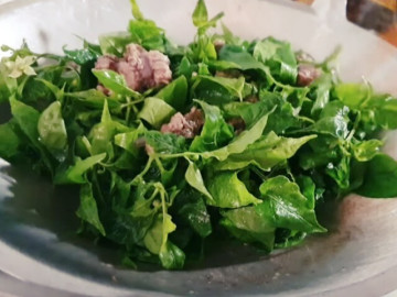 Lá này là ngân hàng canxi, bổ mắt dưỡng gan mà nhiều người chỉ lấy quả, bỏ lá