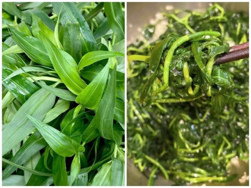 Loại cỏ dại mọc tua tủa sau mưa không ngờ là rau quý, nấu chung với con này rất ngon, không biết ăn quá tiếc