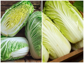 Mua cải thảo nên chọn cây xanh hay trắng, người trồng mách đừng có mua nhầm kẻo nấu xong mất ngon