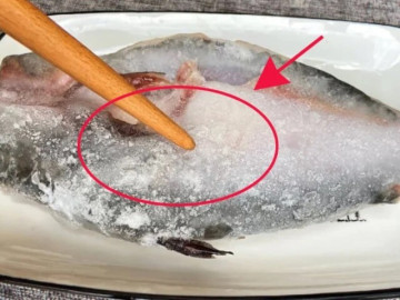 Rã đông cá trực tiếp bằng nước là sai lầm, bếp trưởng mách: Đây là hai kỹ thuật rã đông nhanh chóng, giữ cá tươi ngon!