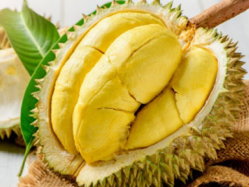 Mua sầu riêng lấy quả có gai nhiều hay ít, người bán để lộ điều này lần sau tha hồ chọn, 10 quả ngon cả 10