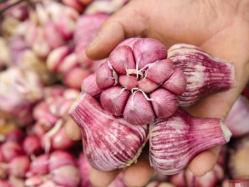 Tỏi bán đầy chợ nhưng có 5 củ này đừng mua, ngay cả người bán rau cũng không ăn, hãy nhanh nhắc nhở gia đình
