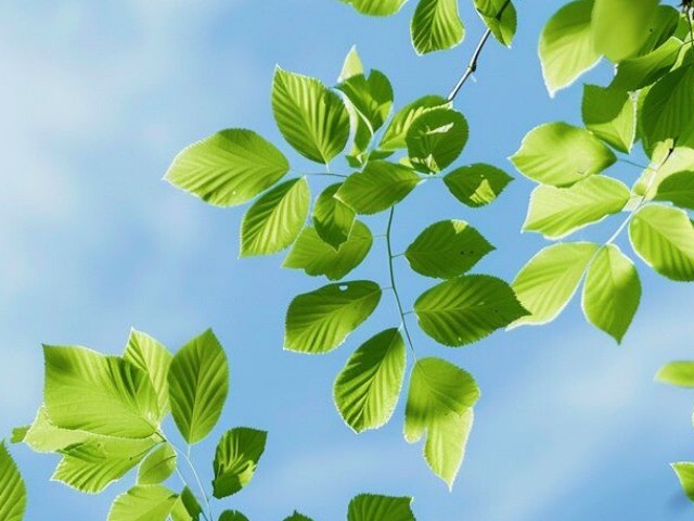 3 chữ này là sự tỉnh táo quan trọng nhất mà một người trưởng thành nên có
