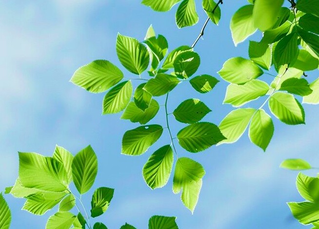 3 chữ này là sự tỉnh táo quan trọng nhất mà một người trưởng thành nên có - 2