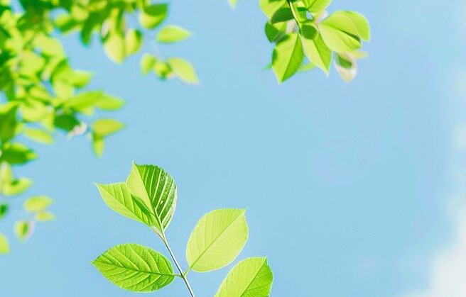 3 chữ này là sự tỉnh táo quan trọng nhất mà một người trưởng thành nên có - 3