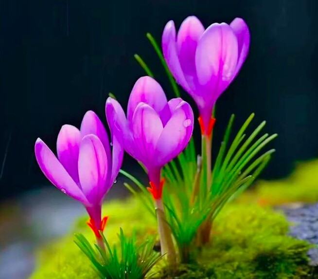 3 điều là bí mật của người khôn ngoan, giúp xoay chuyển vận may, đón phước lành - 2