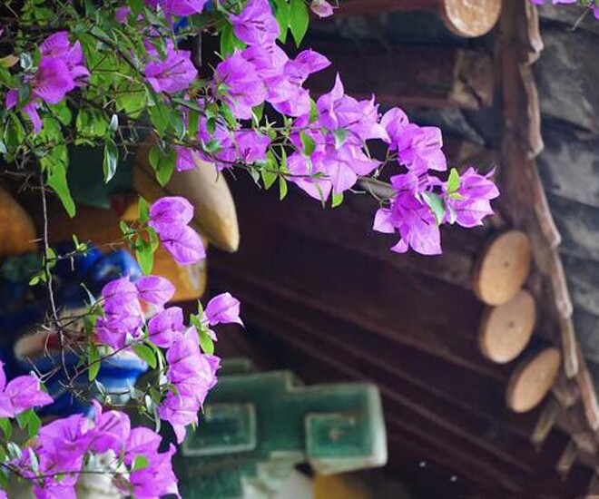3 điều phụ nữ khôn ngoan không cúi đầu kẻ dại thấy là lùi bước - 1