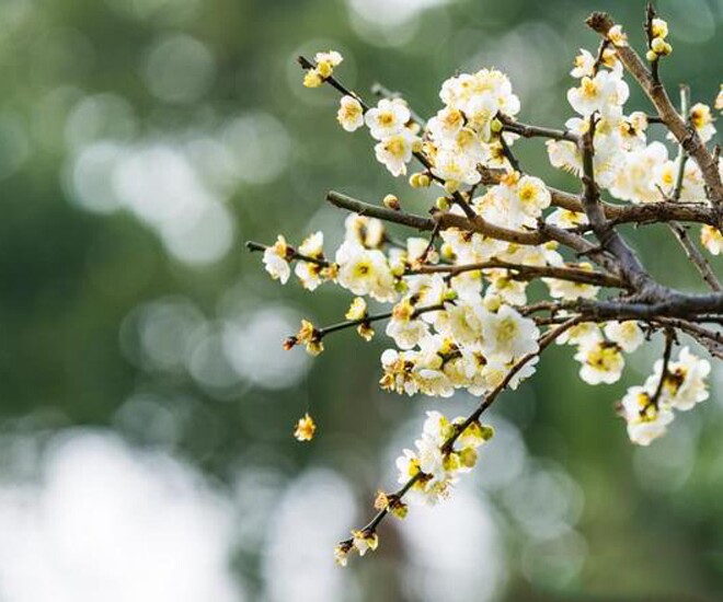 Cách tốt nhất để một người trở nên thịnh vượng gói gọn trong 1 chữ này - 1