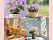 Trắc nghiệm tâm lý: Bình hoa bạn chọn tiết lộ bất ngờ tốt đẹp sẽ đến với bạn trong tuần