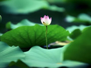 Eva tám - Quan hệ từng thân đến mấy, người trung niên cũng không cần liên lạc với 3 người này