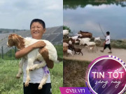Tin tức - Từ chàng trai cầm đũa ăn cơm cũng khó khăn, đổi đời nhờ nuôi con vật “hiền như cục đất”