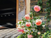 Eva tám - 3 điều phụ nữ khôn ngoan không cúi đầu, kẻ dại thấy là lùi bước