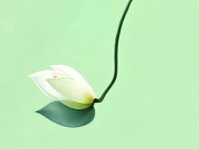 Eva tám - Phúc khí của một người, thực chất đều ghi dấu trên khuôn mặt