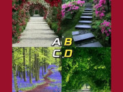 Eva tám - Trắc nghiệm tâm lý: Theo trực giác của bạn, con đường nào dẫn đến bến bờ hạnh phúc?