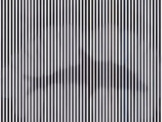 Trắc nghiệm tâm lý: Hình ảnh đầu tiên bạn nhìn thấy là gì?