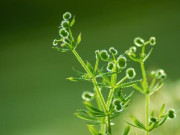 Eva tám - Mối quan hệ thân đến mấy cũng phải nhớ rõ 2 chữ này