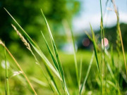 Eva tám - Sau tuổi 40, người khôn ngoan đóng lại 3 cánh cửa này