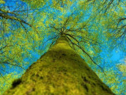 Eva tám - Tâm bạn càng bình yên, phước lành của bạn càng sâu sắc