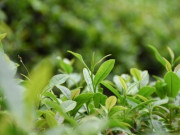 Eva tám - Người khôn ngoan không để người khác “mượn” vận may của mình, nhất là 2 loại này