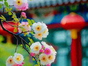 Eva tám - Cách thầm lặng nhất thể hiện sự giàu có không phải bằng nhà cửa hay tiền bạc mà là 3 điều này