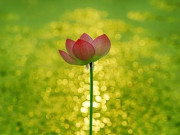 Eva tám - Nếu mọi việc không diễn ra tốt đẹp, làm 3 việc này càng sớm càng tốt