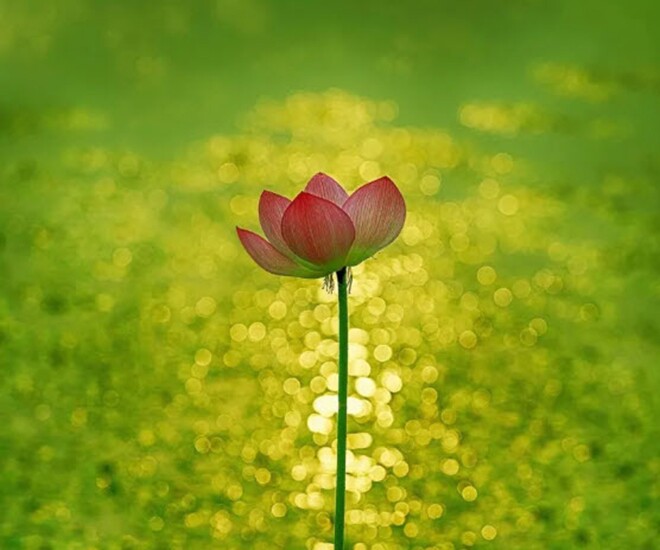 Nếu mọi việc không diễn ra tốt đẹp, làm 3 việc này càng sớm càng tốt - 1