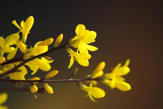 Người khôn ngoan không bận tâm 3 điều: Càng mặc kệ, cuộc sống càng may mắn - 2