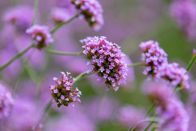 Người thực sự bản lĩnh đều có 3 chữ này, trông vậy mà không hề đơn giản - 2