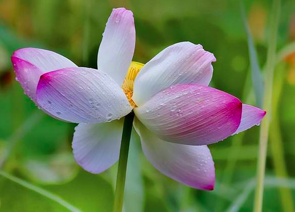 Những người càng hiểu cuộc sống càng biết được tầm quan trọng của 2 chữ này - 2