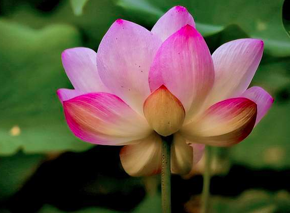 Những người càng hiểu cuộc sống càng biết được tầm quan trọng của 2 chữ này - 3