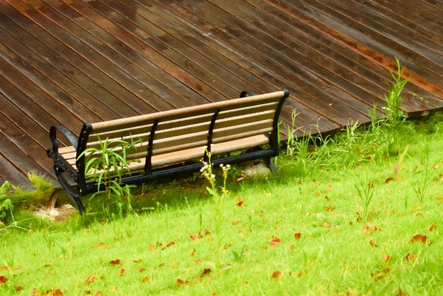 Dặn dò con tránh xa 3 người này chính là sự chuẩn bị khôn ngoan cho tương lai tốt đẹp - 3