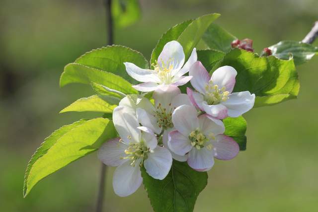 Sở hữu 4 điều đơn giản này chứng tỏ bạn có tầm nhìn thực sự lớn - 2