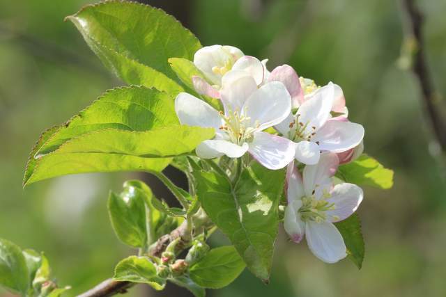 Sở hữu 4 điều đơn giản này chứng tỏ bạn có tầm nhìn thực sự lớn - 4
