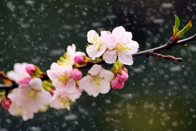 Quan hệ thân đến mấy, người khôn ngoan cũng hạn chế nói 3 điều này - 3