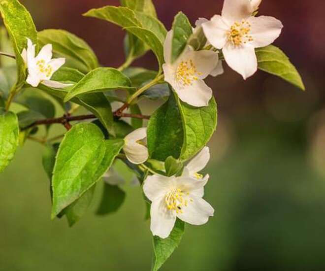 Sở hữu 4 điều đơn giản này chứng tỏ bạn có tầm nhìn thực sự lớn - 1