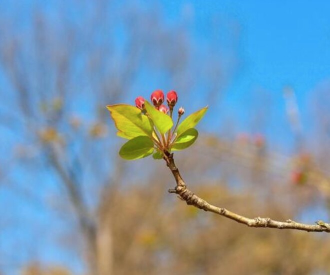 Tài năng đáng nể nhất của một người không phải sự khôn khéo mà là 3 chữ này - 1