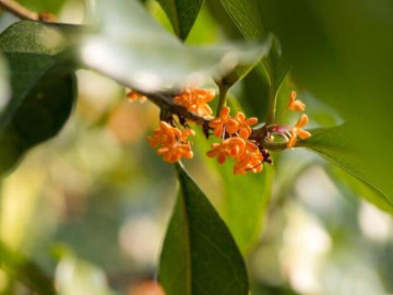 Phước lành của mỗi gia đình thường ẩn chứa trong sự khôn ngoan của 3 phép trừ