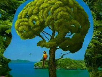 Trắc nghiệm tâm lý: Bạn đã thấy gì từ cái nhìn đầu tiên?