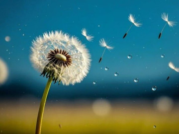 Qua tuổi 50, càng đến 4 chỗ này sẽ càng được lợi, con cháu giàu sang