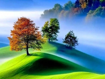 Làm đúng 3 điều này, thành công với bạn chỉ là sớm hay muộn, không hề nhờ may mắn