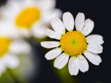 Tránh xa những người như này không phải vô tâm mà là rất tỉnh táo