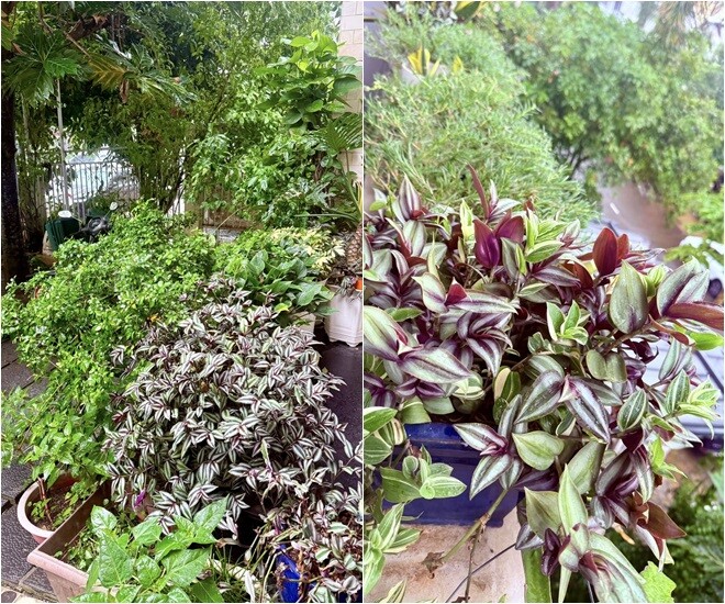 Bà mẹ trong phim Mưa Đỏ ngoài đời có cơ ngơi 4 tầng cực xinh, nhưng con gái từng nói không muốn bước vào nhà - 9