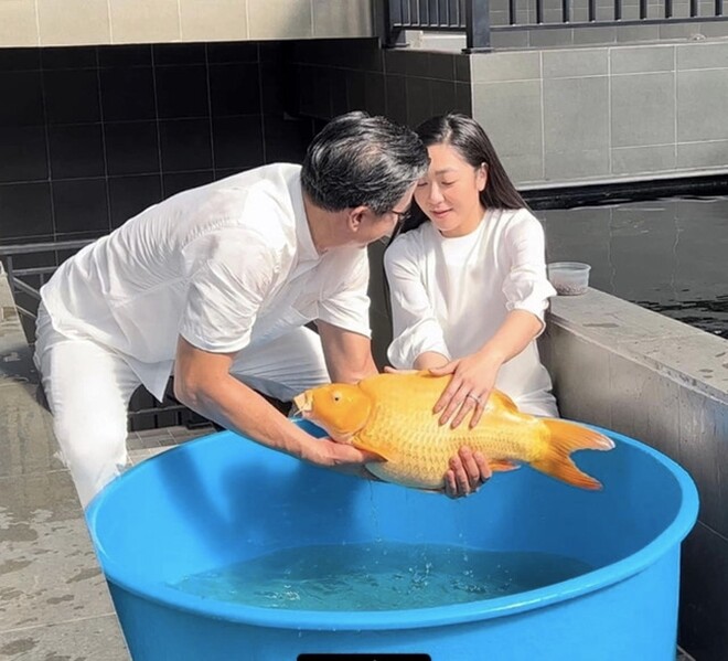 Hà Thanh Xuân ly hôn Vua cá Koi chỉ sau thời gian ngắn chung sống.
