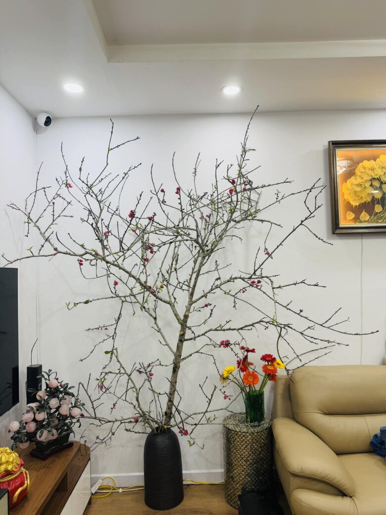 Căn nhà NSND Công Lý đang sống: Nhỏ nhưng xinh xắn, ấm áp nhờ bàn tay cô vợ trẻ kém 15 tuổi - 16