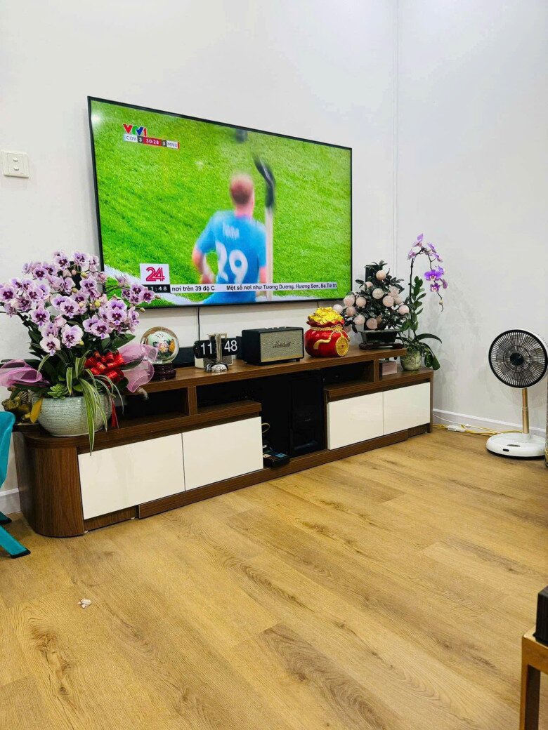 Kệ tivi bằng gỗ hai tông màu bày biện các món đồ nhỏ như quả cầu, lịch để bàn, loa nghe nhạc và cây tài lộc. Không gian được tô điểm bằng nhiều chậu hoa, tạo cảm giác tươi mới.